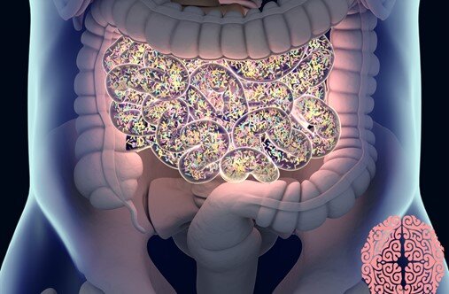 Impact Probiotics on Microbiota Autistic Spectrum