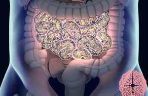 Impact Probiotics on Microbiota Autistic Spectrum