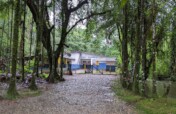 Agavi:  Brazilian Forest Schools Digitalization