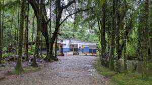 Agavi:  Brazilian Forest Schools Digitalization