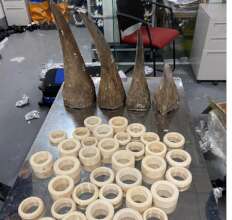 Confiscation at Noi Bai Int. Airport. CustomsNews