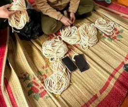 4.5 kg of ivory products confiscated, Jan 2023