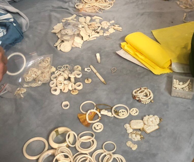Ivory products confiscated from house, Jan 2023