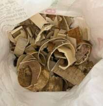 Ivory pieces seized by police