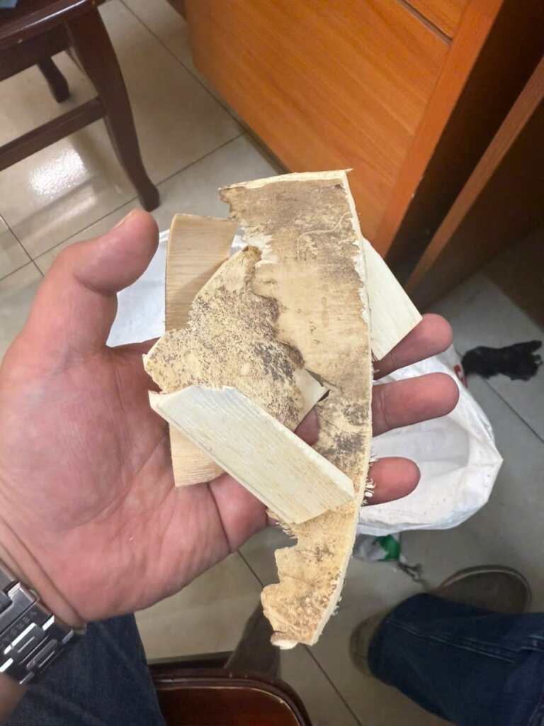 Ivory confiscated by Hanoi City Police