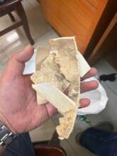 Ivory confiscated by Hanoi City Police