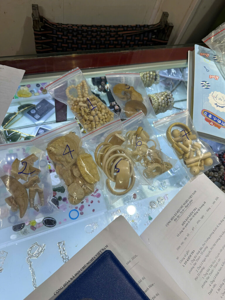 Ivory pieces seized by Hac Thanh Ward Police