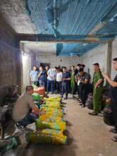 Sting op resulting in 242,92 kg ivory seized