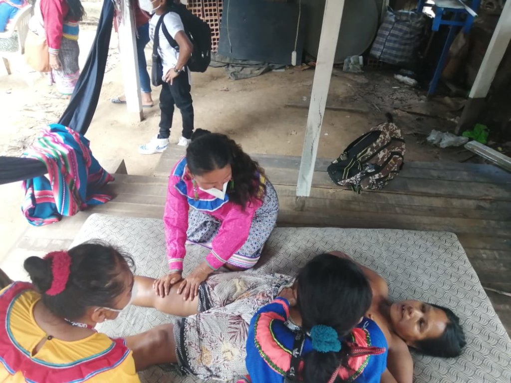 Help the Shipibo Regenerate from the Pandemic