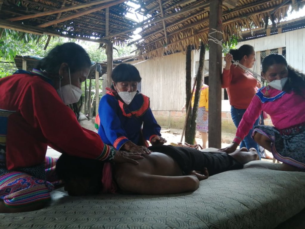 Help the Shipibo Regenerate from the Pandemic