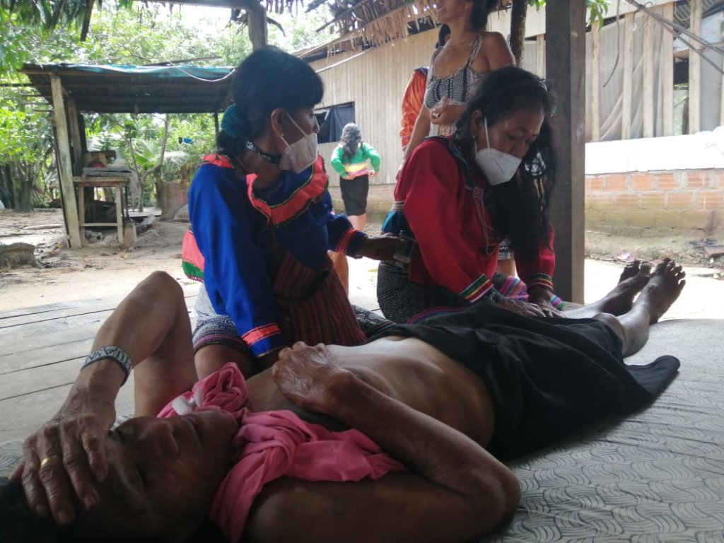 Help the Shipibo Regenerate from the Pandemic