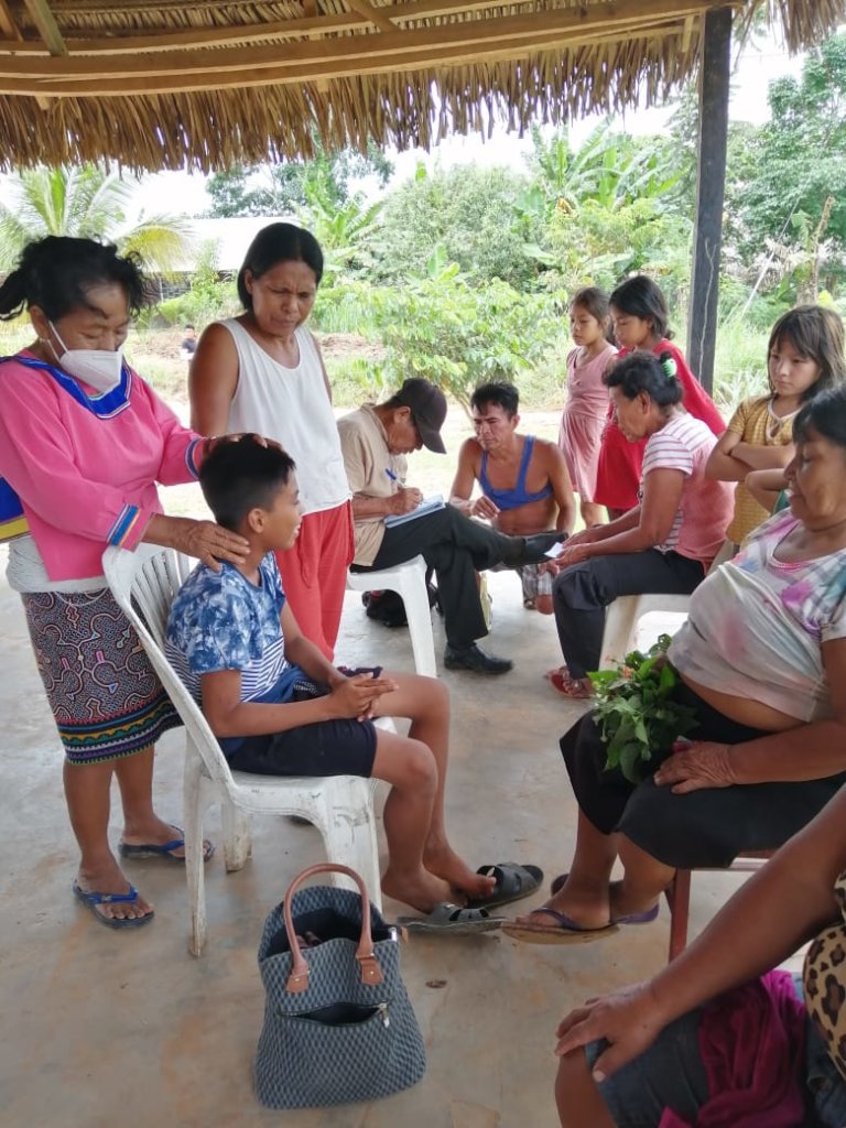 Help the Shipibo Regenerate from the Pandemic