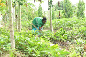 Permaculture trainee at MTTI Garden