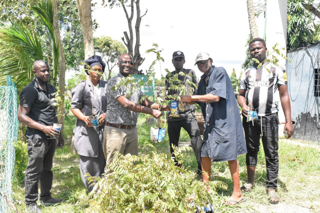 Gearing up to green the environment