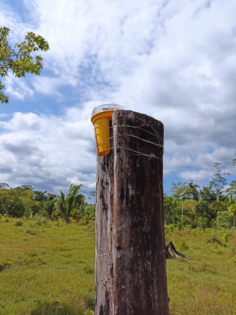 Foxlight installed at a jaguar-friendly farm.