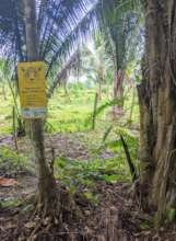 A Jaguar-Friendly Farm in the MGL