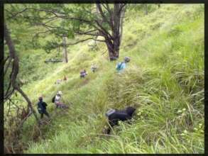 young adults monitoring and replacing seedlings