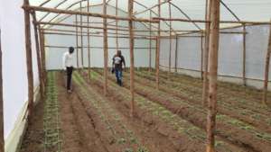 Planting seeds