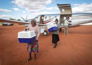 Newhaven Warlpiri Ranger Alice Nampijinpa Henwood