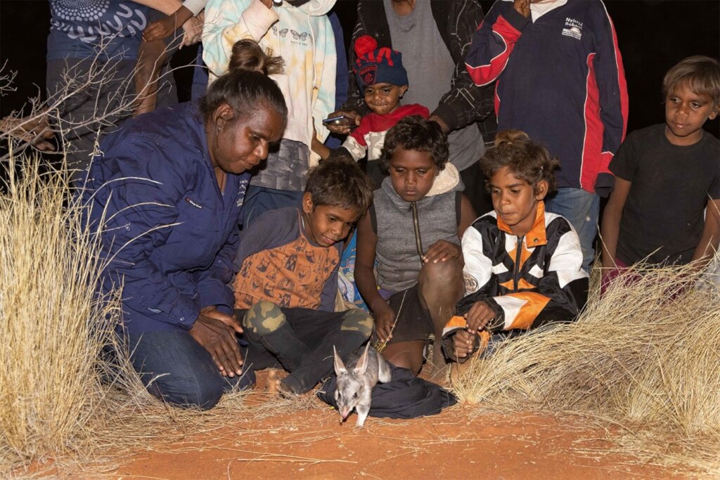 Traditional owners oversee Bilby reintroduction