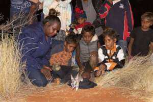 Traditional owners oversee Bilby reintroduction