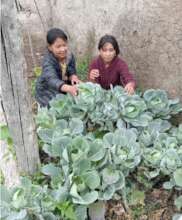Muchu schoolchildren with vegetables grown