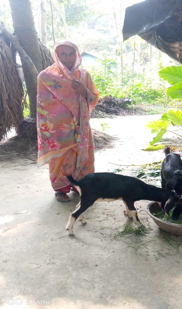 A mother taking care of her goat