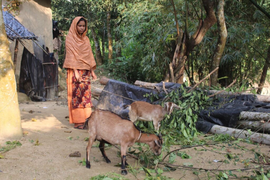 The Family Provided Goats for Income Generation