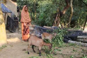 The Family Provided Goats for Income Generation