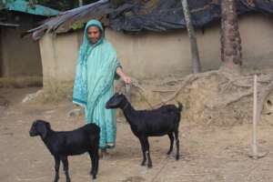 Another Family of a poor students with Goats(IGA)