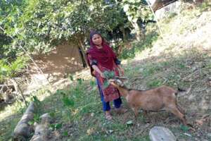 A parents feeding the goats supported by DBD