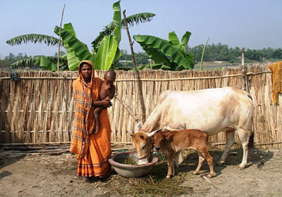 Zakat can Empower Poor Parents in Bangladesh
