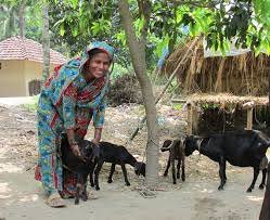 Zakat can Empower Poor Parents in Bangladesh