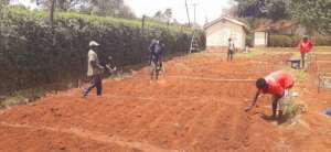 WOW 3 preparing land for cultivation