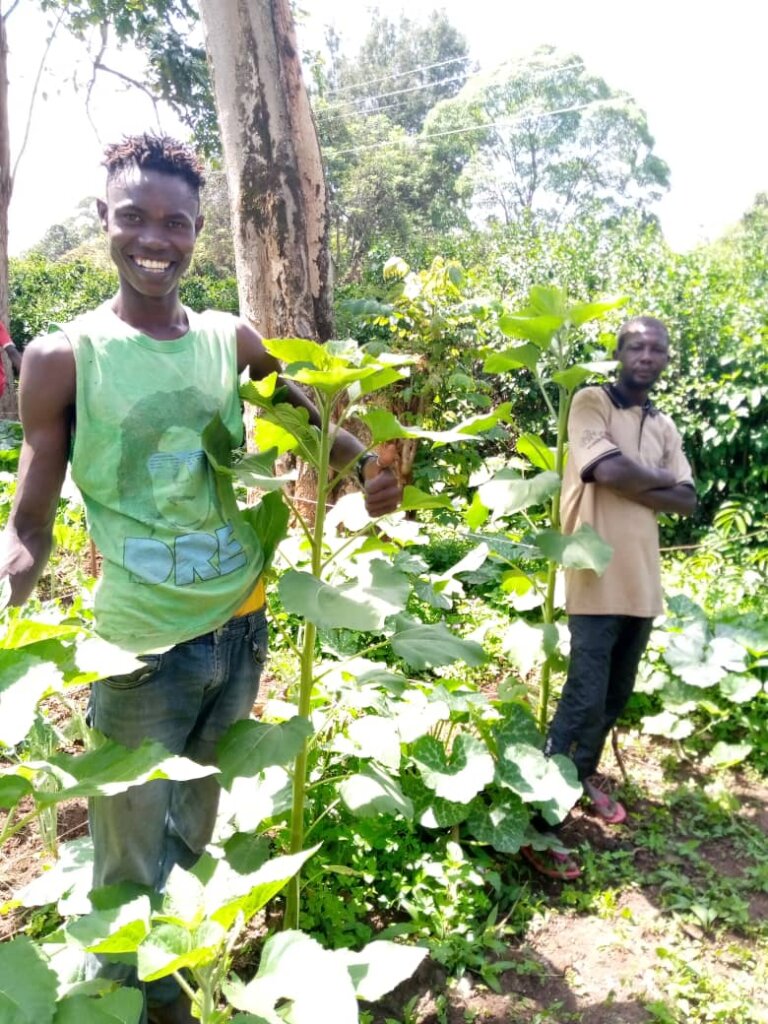 Train streetconnected youth in organic agriculture