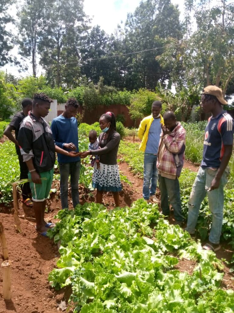 Train streetconnected youth in organic agriculture