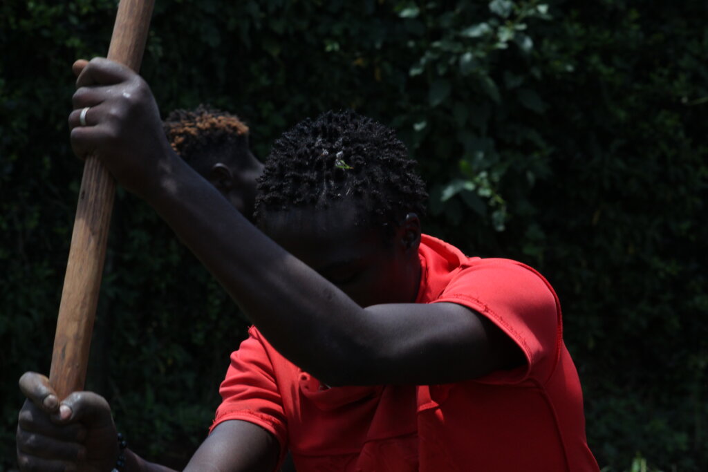 Train streetconnected youth in organic agriculture