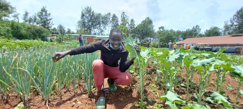 Train streetconnected youth in organic agriculture