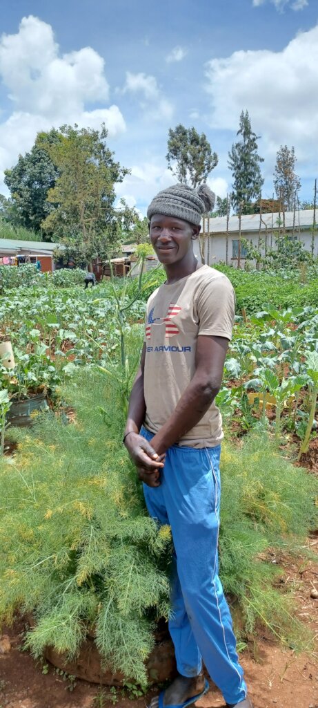Train streetconnected youth in organic agriculture