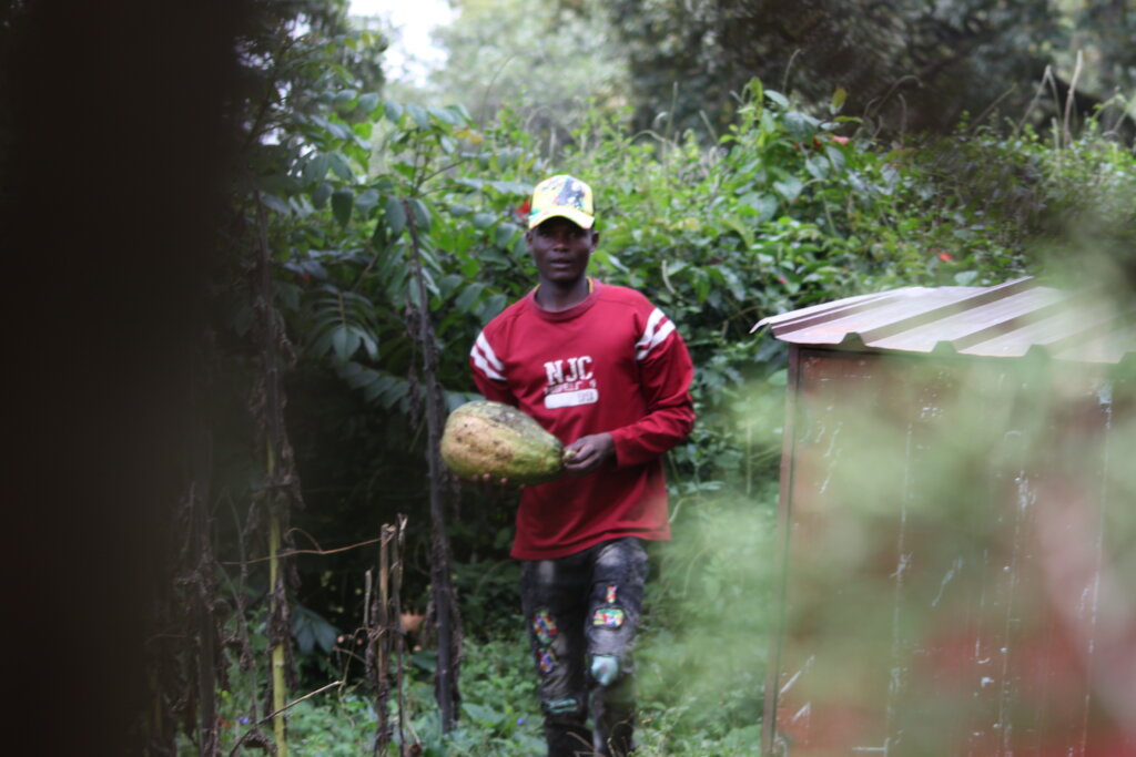 Train streetconnected youth in organic agriculture