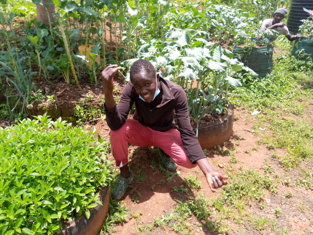 Train streetconnected youth in organic agriculture