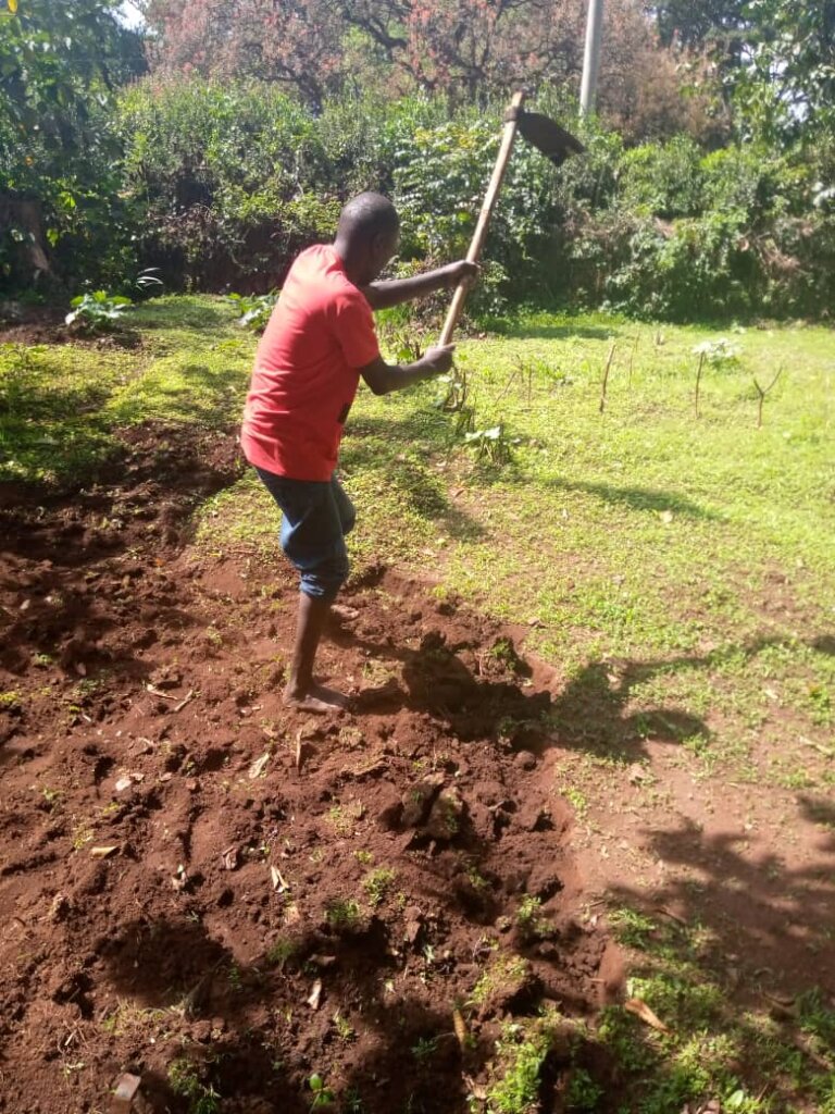 Train streetconnected youth in organic agriculture