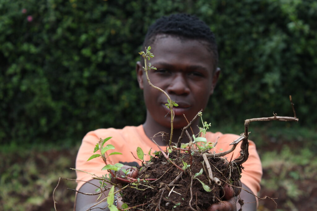 Train streetconnected youth in organic agriculture