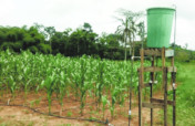 Akuafo Go Solar