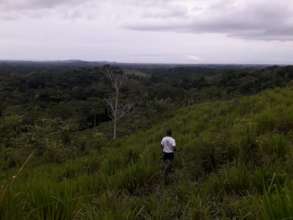 Forest around Melchorita.