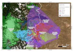 Condors recorded movements