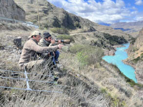 Rewilding Chile team spotting Liquine