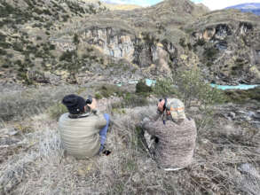 Monitoring Liquine next to the Baker river