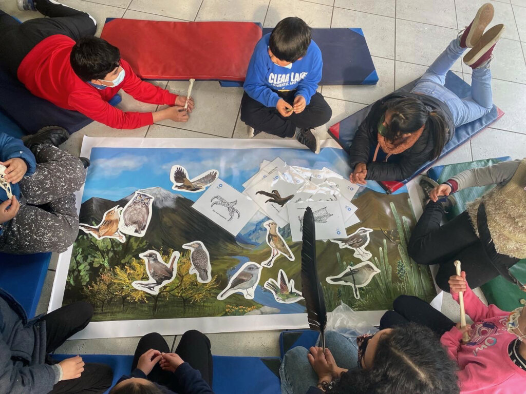 Educational Activities