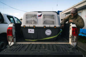 Arriving at Aysen region